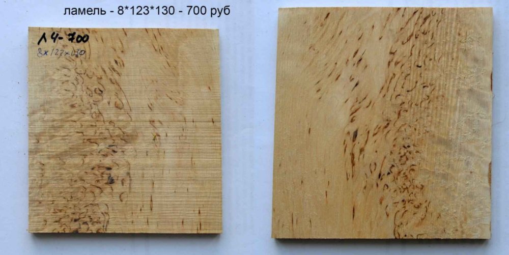 Корень дерева текстура