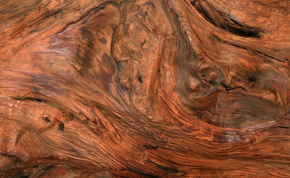 Продольный спил дерева