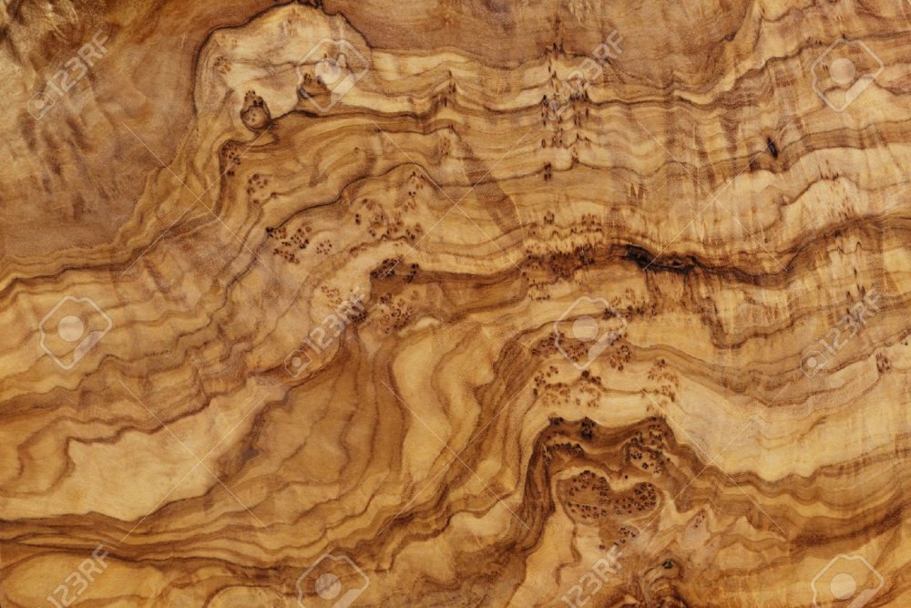 Карагач фактура древесины