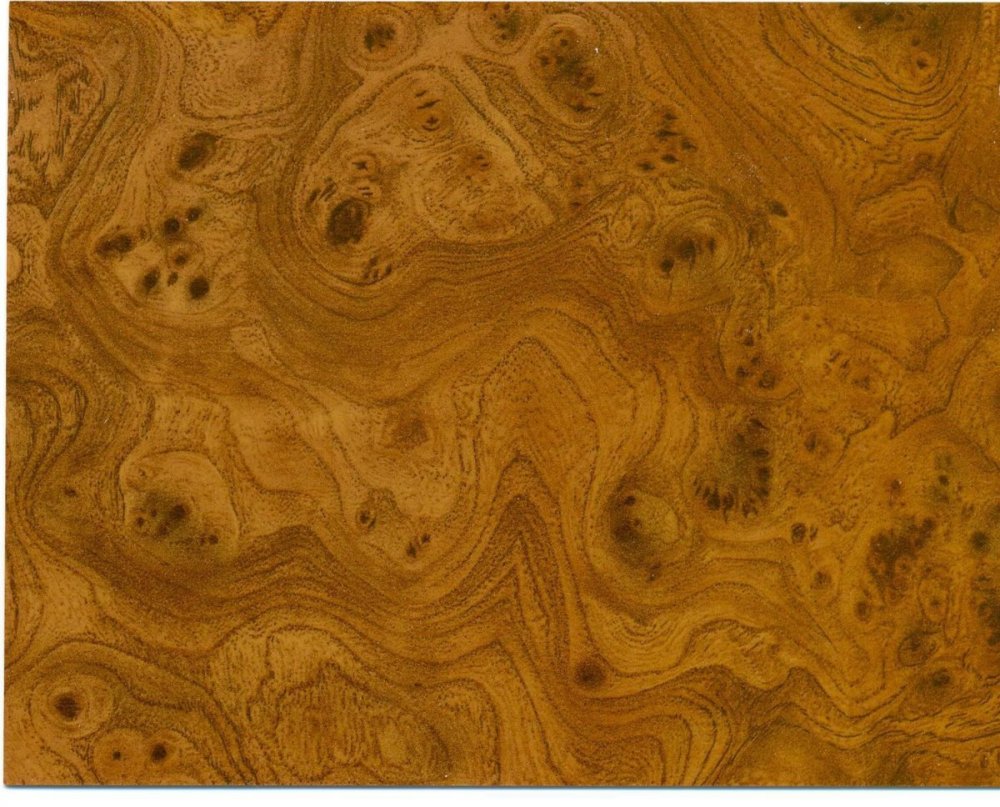 Корень березы текстура