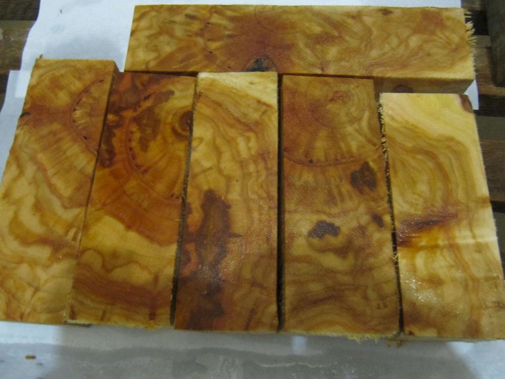 Шпон Ильм (карагач, вяз)