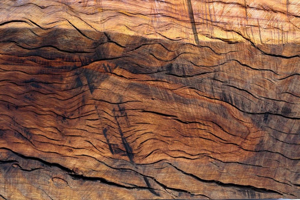 Береста дерево лакированное фон