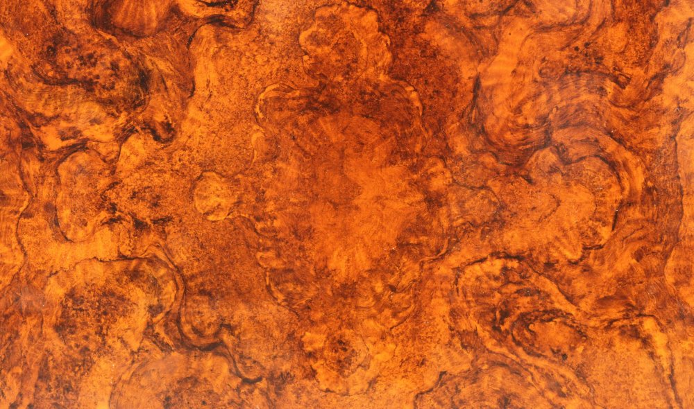 Оливковое дерево срез