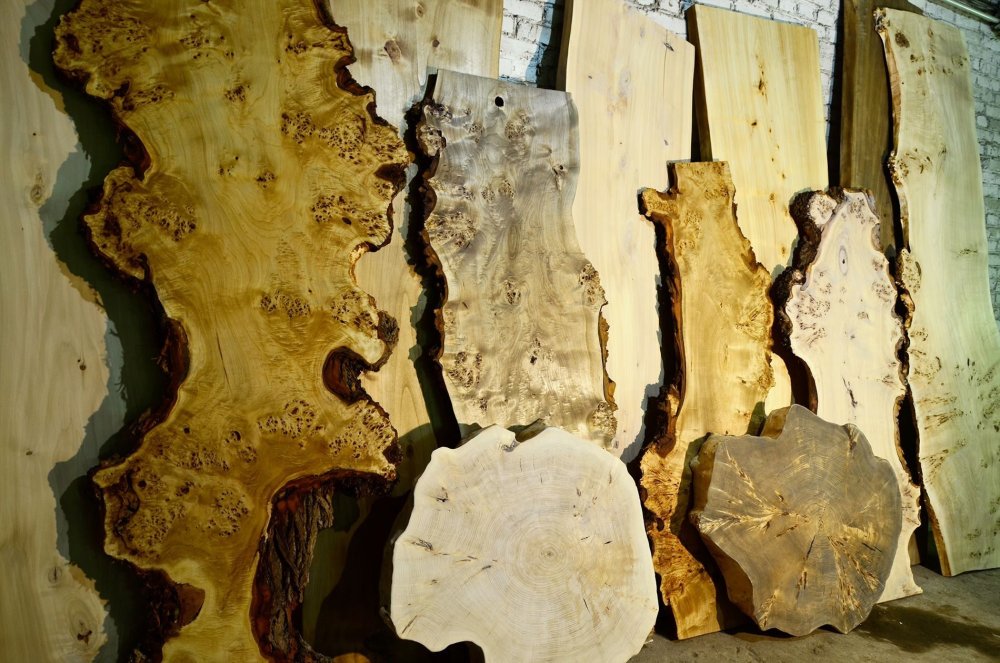 Бесшовная текстура корень вяза