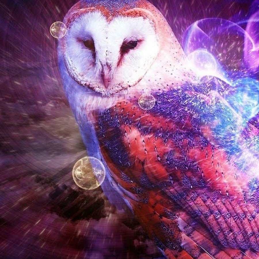 Неоновая Сова аватарка