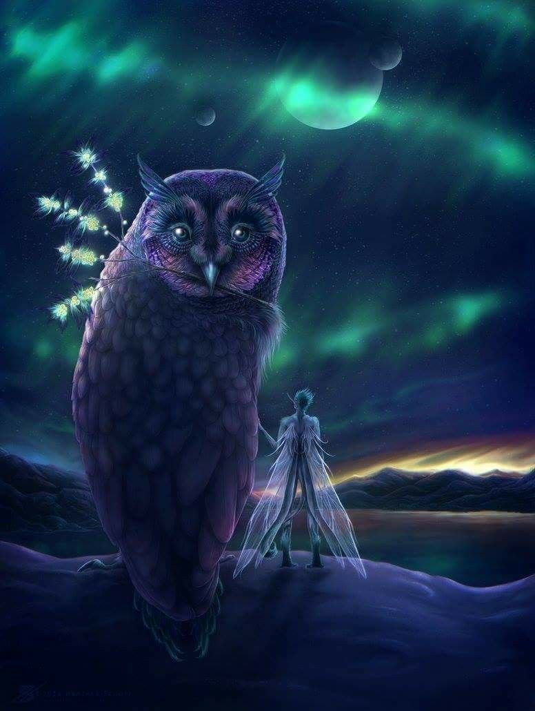 Сова абстракция