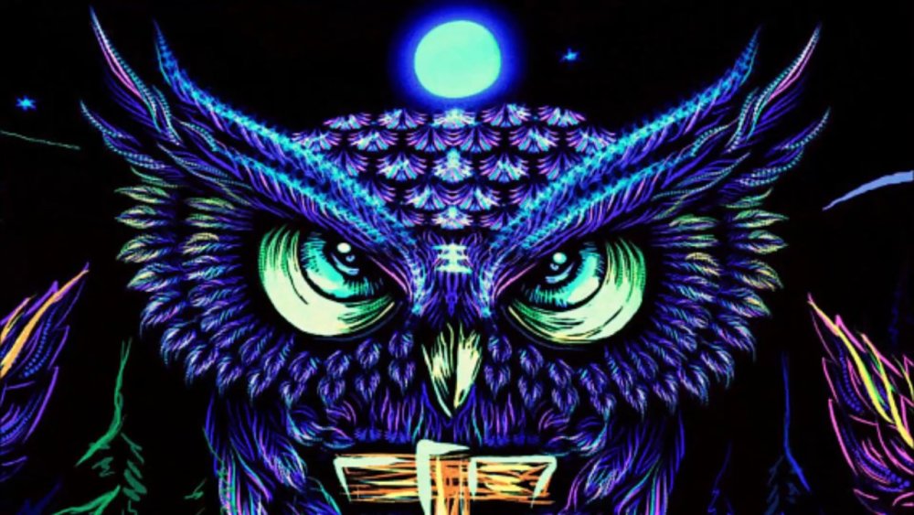 Сова космос