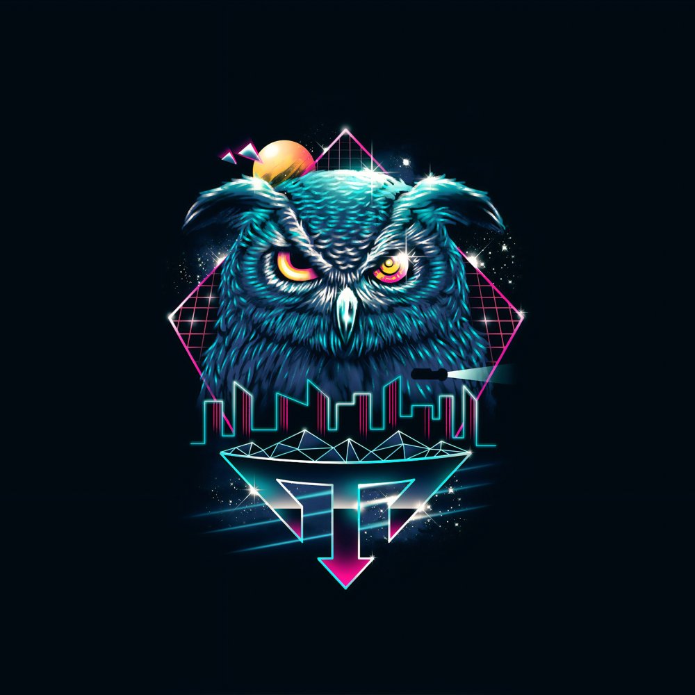 Сова в темноте