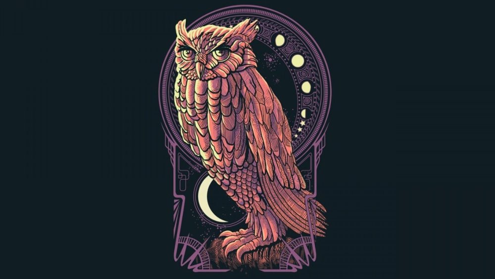 Сова в полете ночью