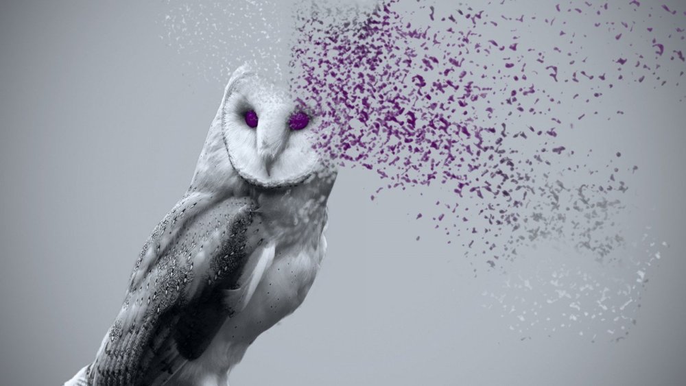 Мистическая Сова