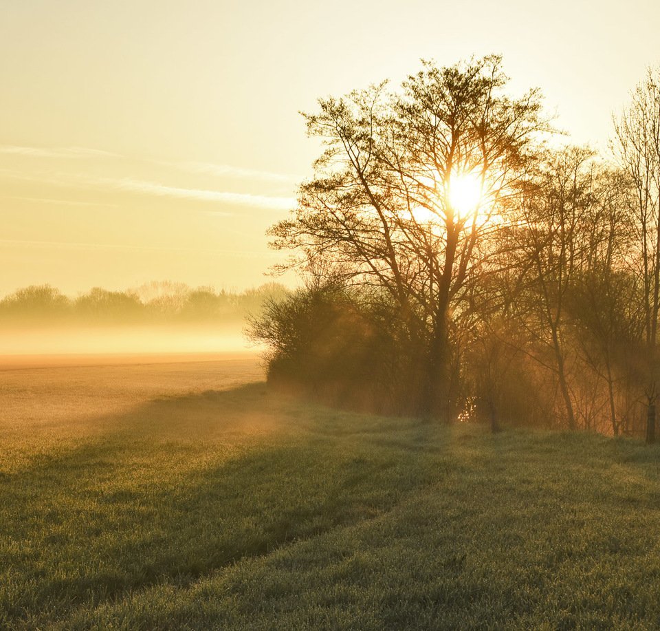 Ранний рассвет