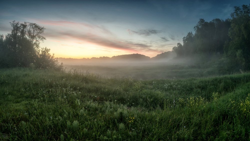 Утренний туман природа