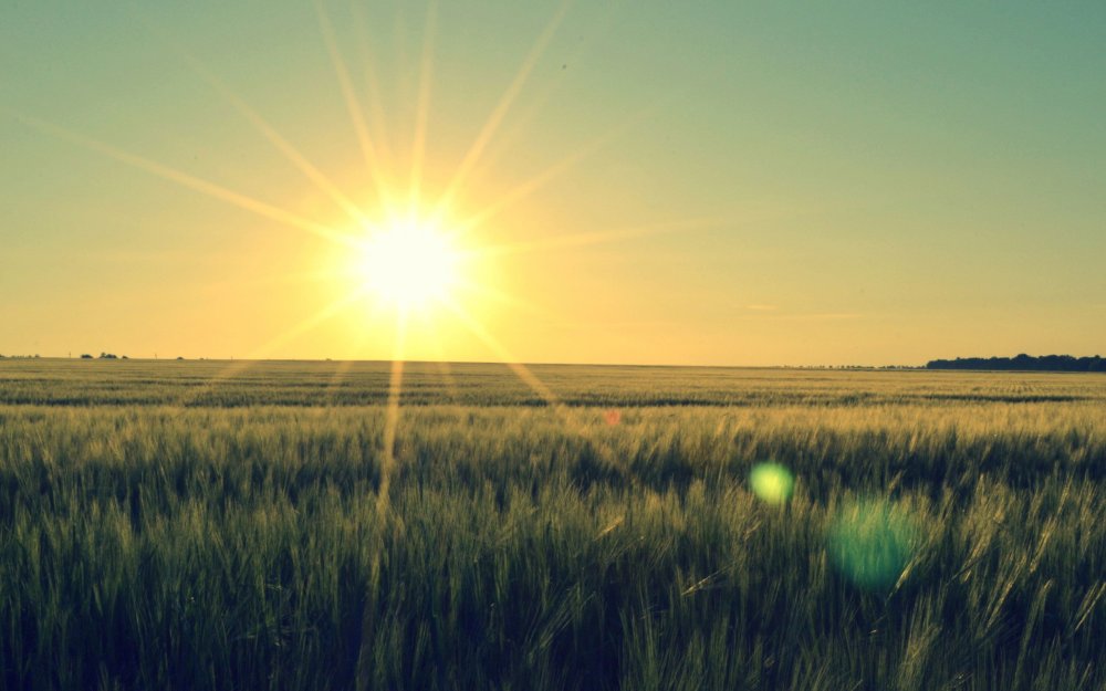 На Восходе солнца