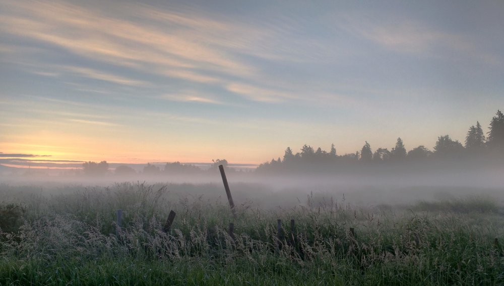 Туманное небо