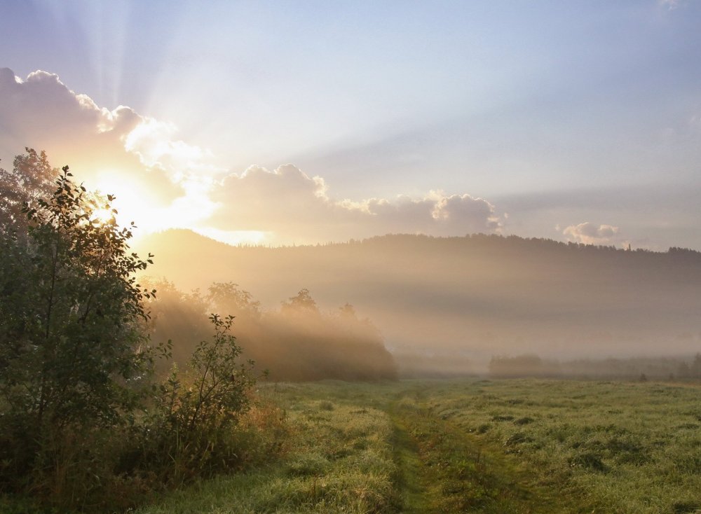 Утренний пейзаж