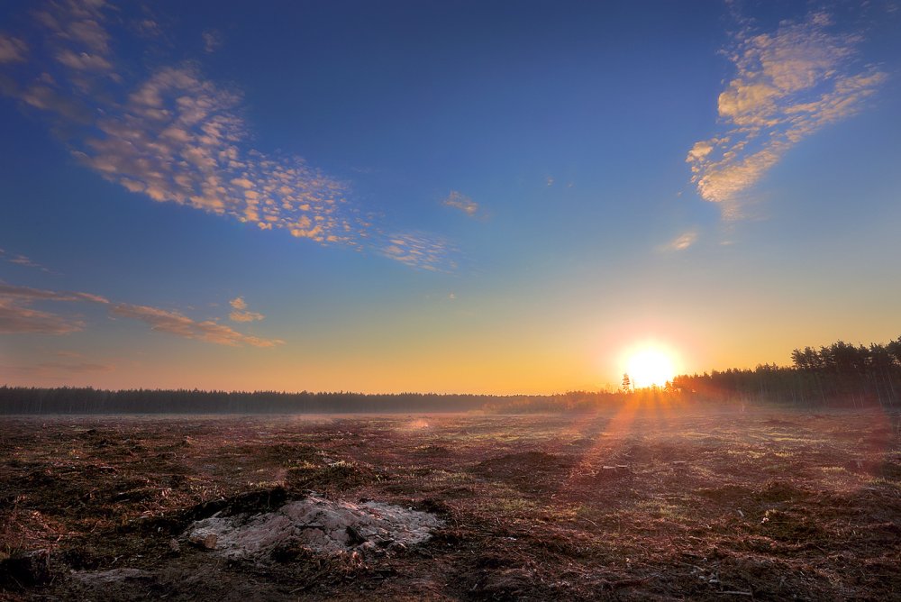 Рассвет картинки