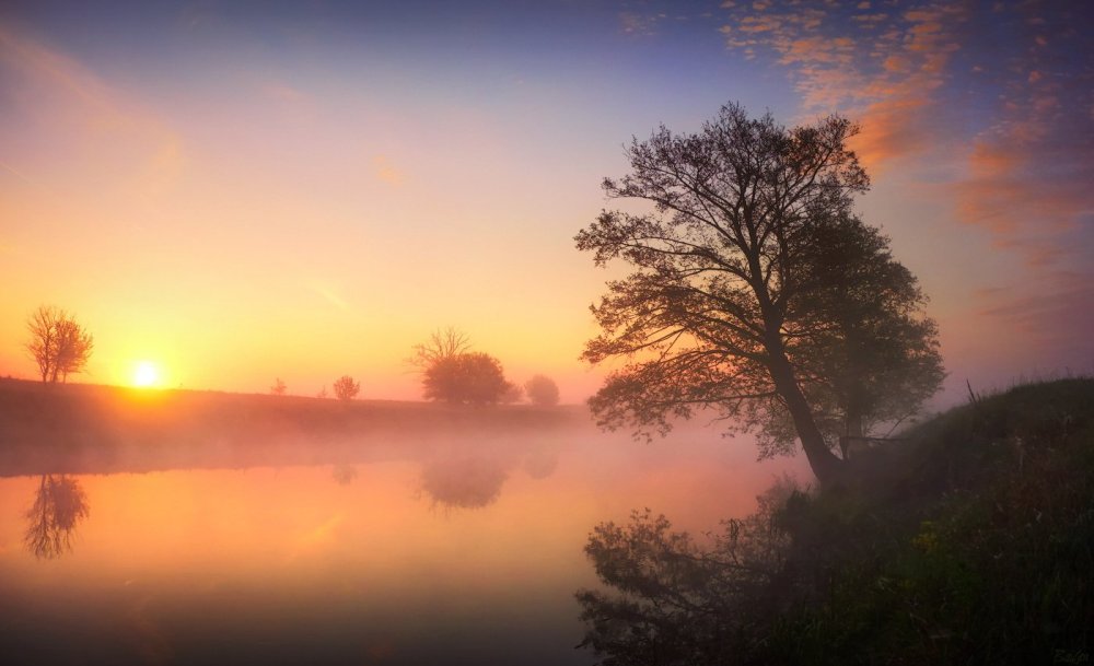 Утро рассвет