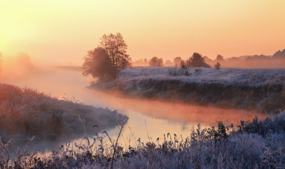 Утренний туман на реке