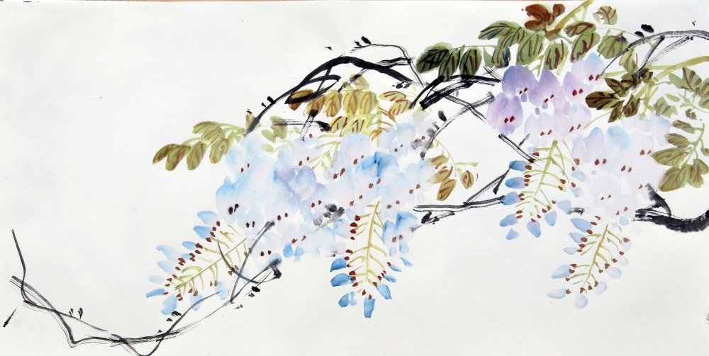 Акация китайская живопись