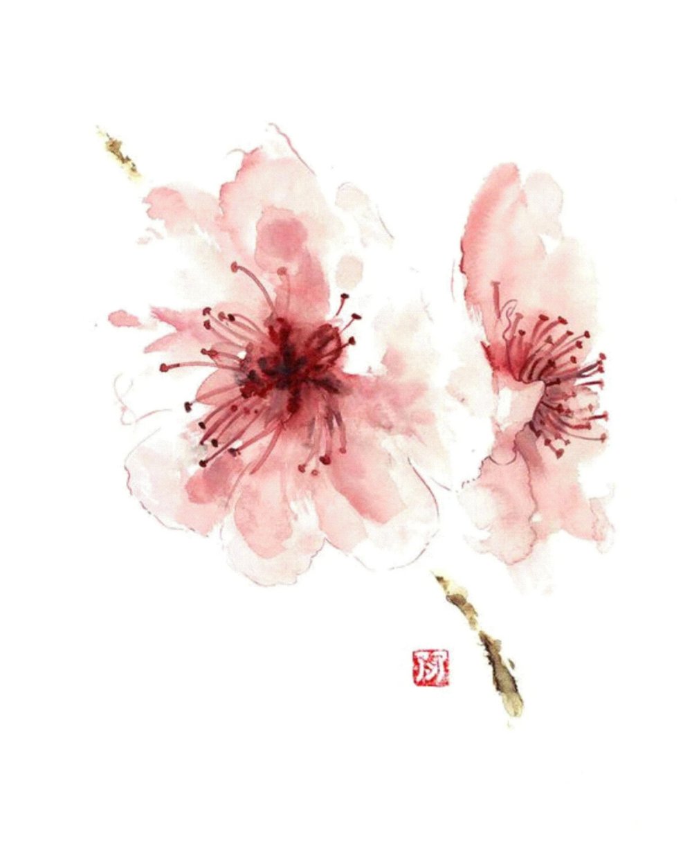 Акварельные цветы Сакура