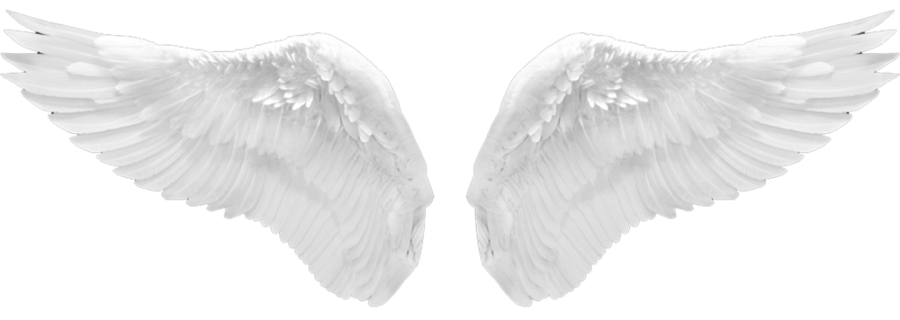 Крылья ангела гача лайф