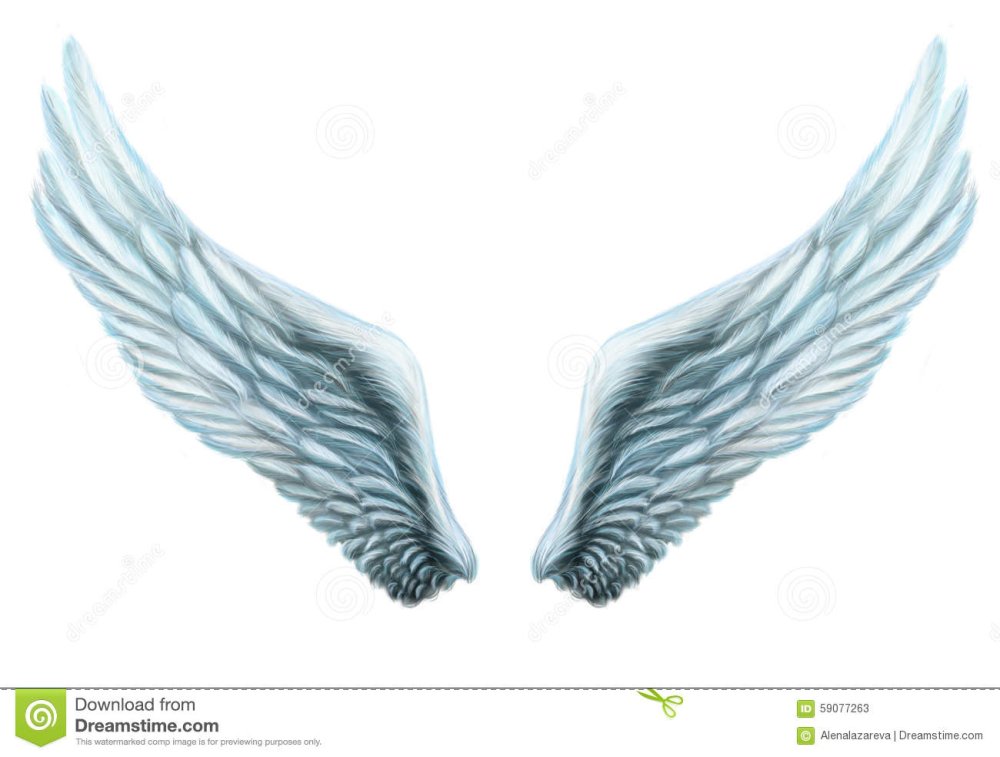 Раскрытое крыло