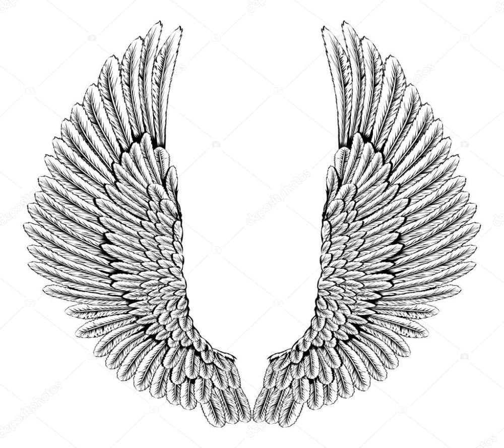 Белые Крылья