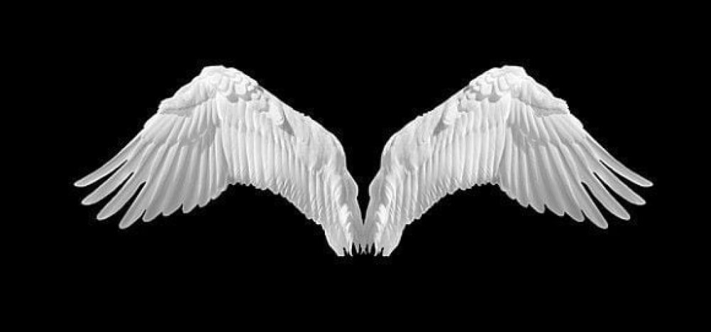 Крылья ангела на синем фоне