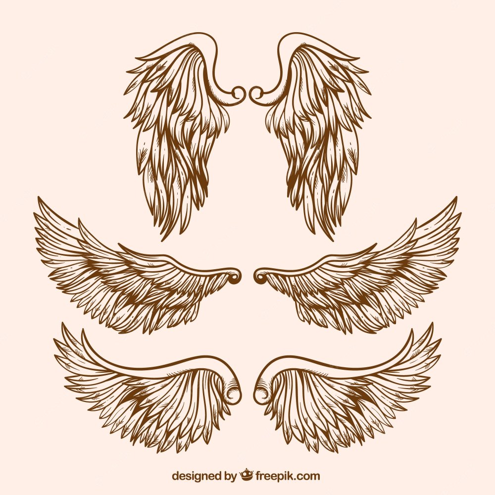 Анимация крыльев