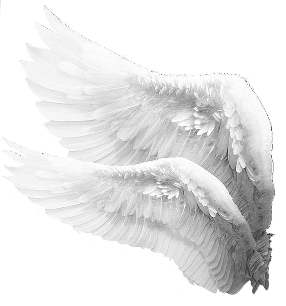Крылья ангела сбоку