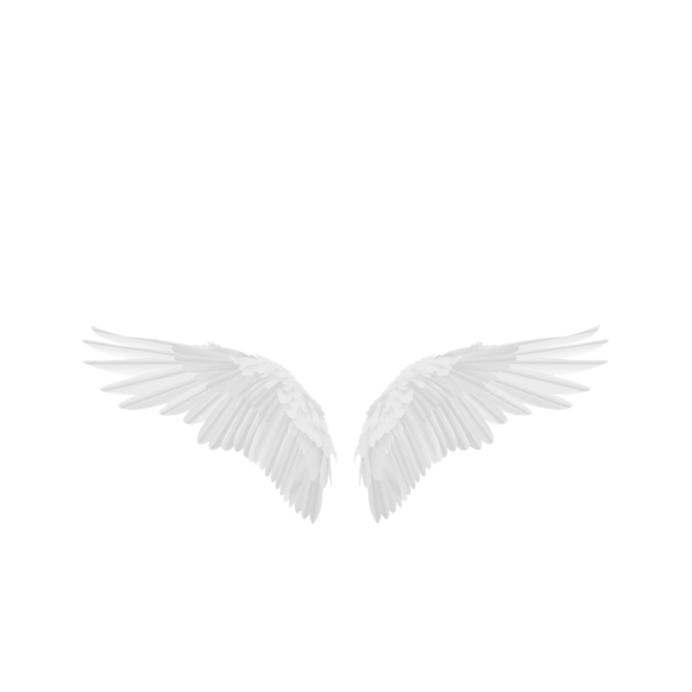 Ангельские Крылья