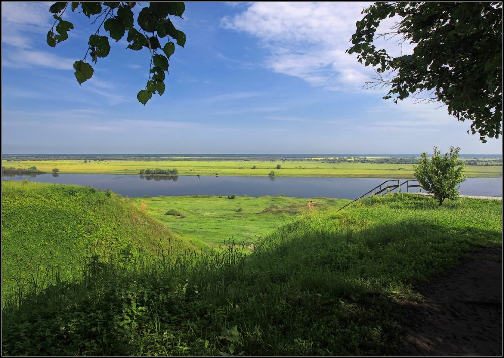 Сергей Есенин на фоне берез