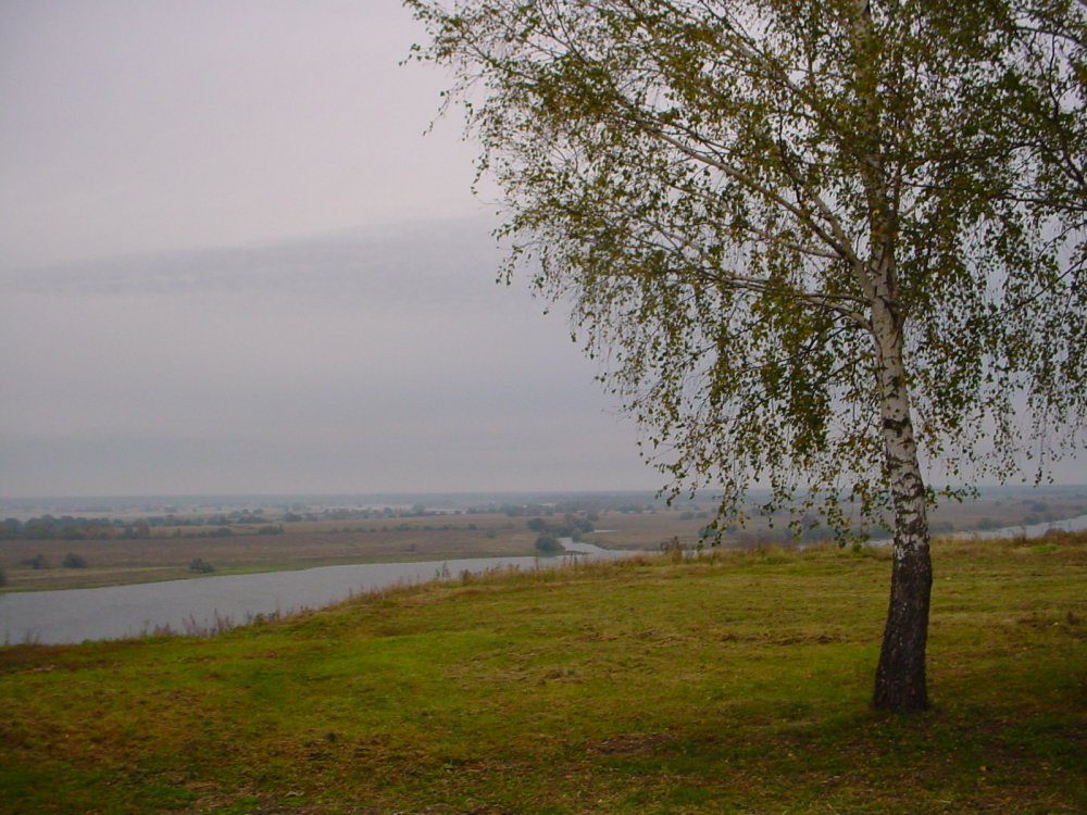 Рязанская область Есенинская Русь