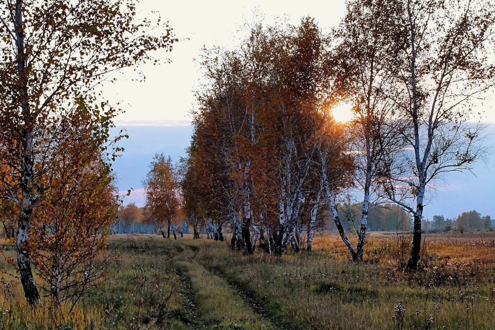 Портрет Есенина