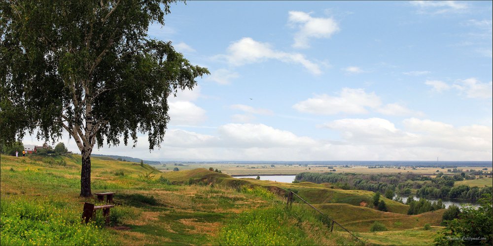 Родина Есенина село Константиново на картинах художников