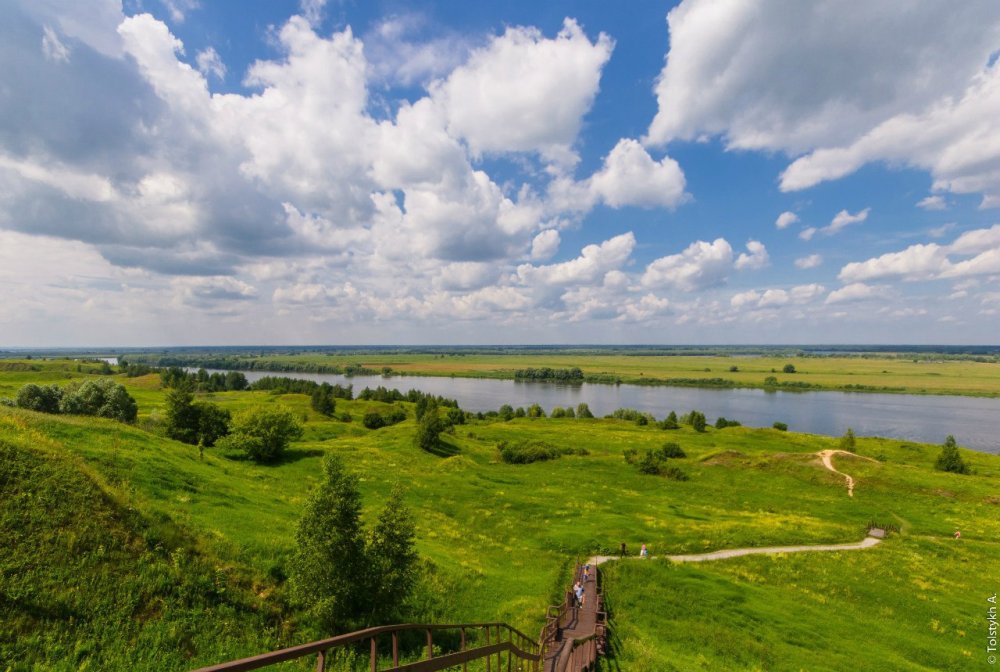 Берёзовая роща Курск