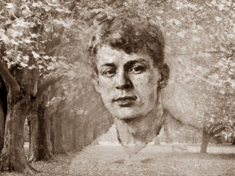 Природа Константиново Рязанской области