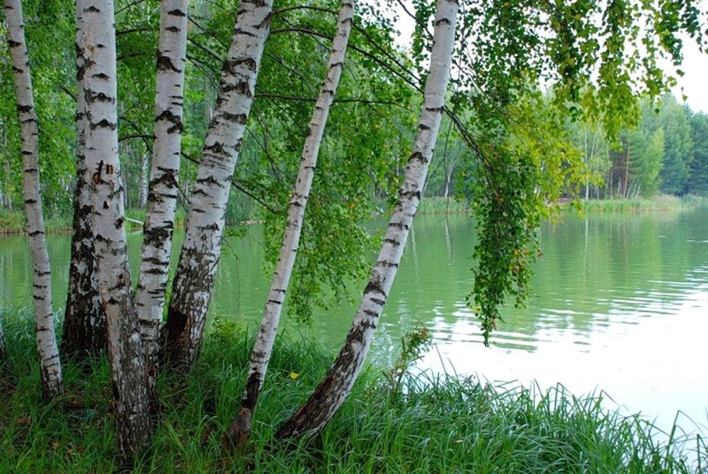 Рязань Константиново закат