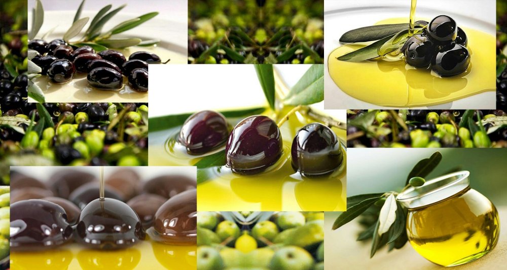 Фартук для кухни с оливками и маслинами