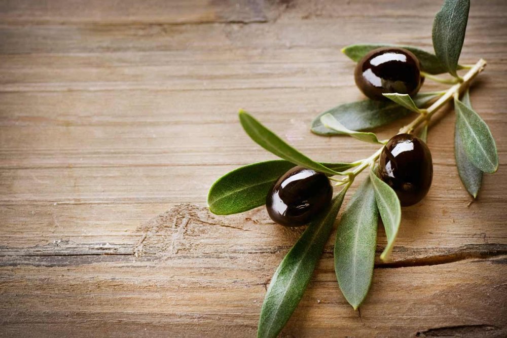 Олива 300 Кипр