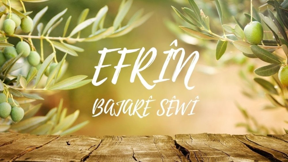 Оливковое дерево фон