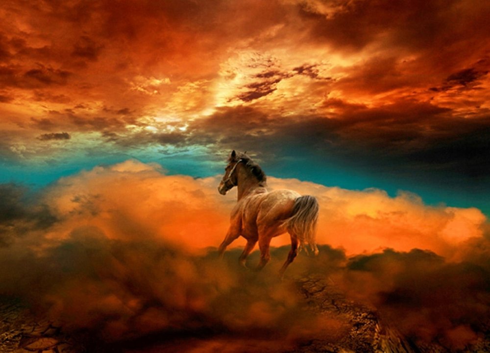 Силуэт лошади на закате