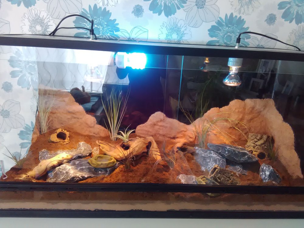 Террариум для агам ультрафиолетовая лампа