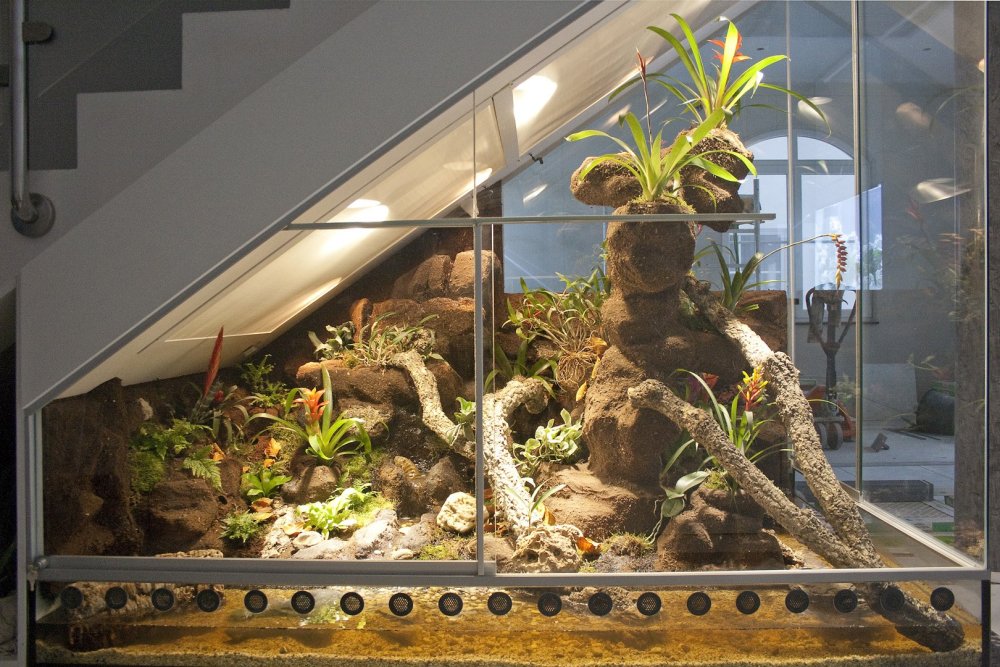 Палюдариум Кайман