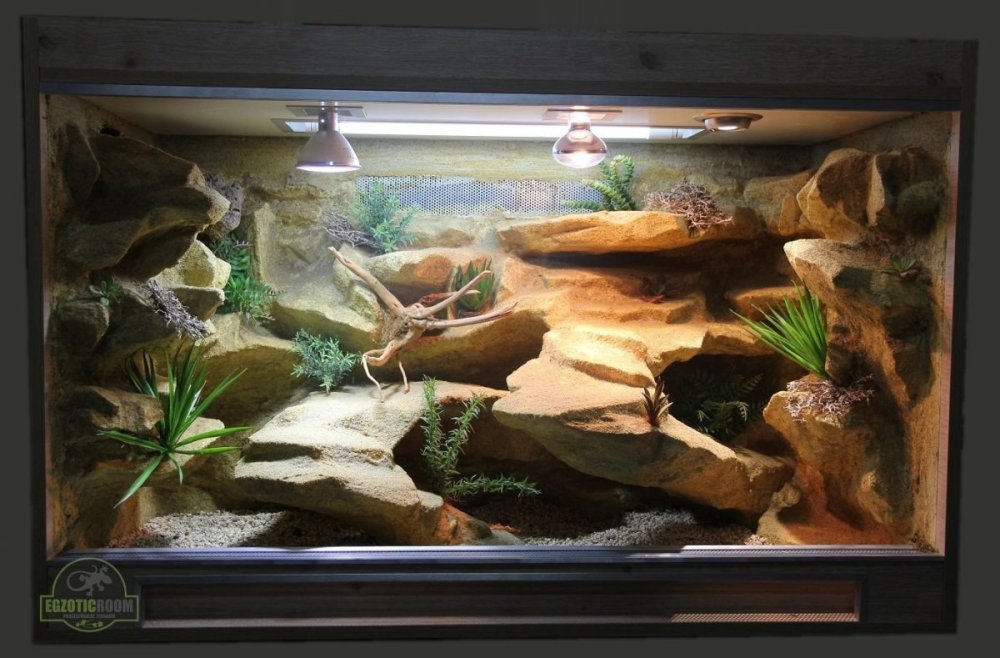 Террариум для агамы