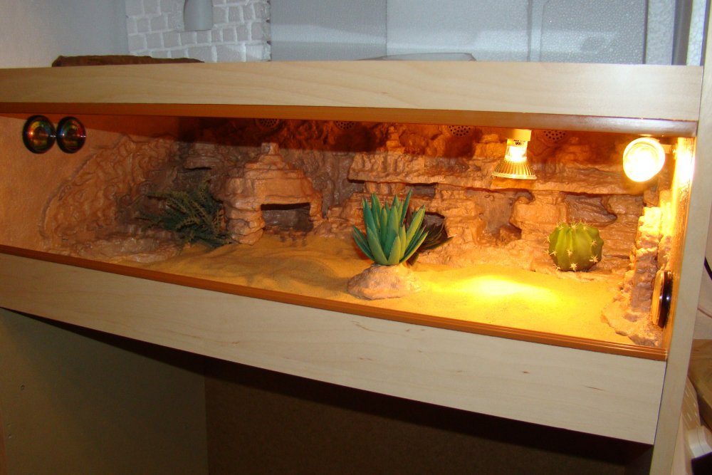 Деревянный террариум для агамы