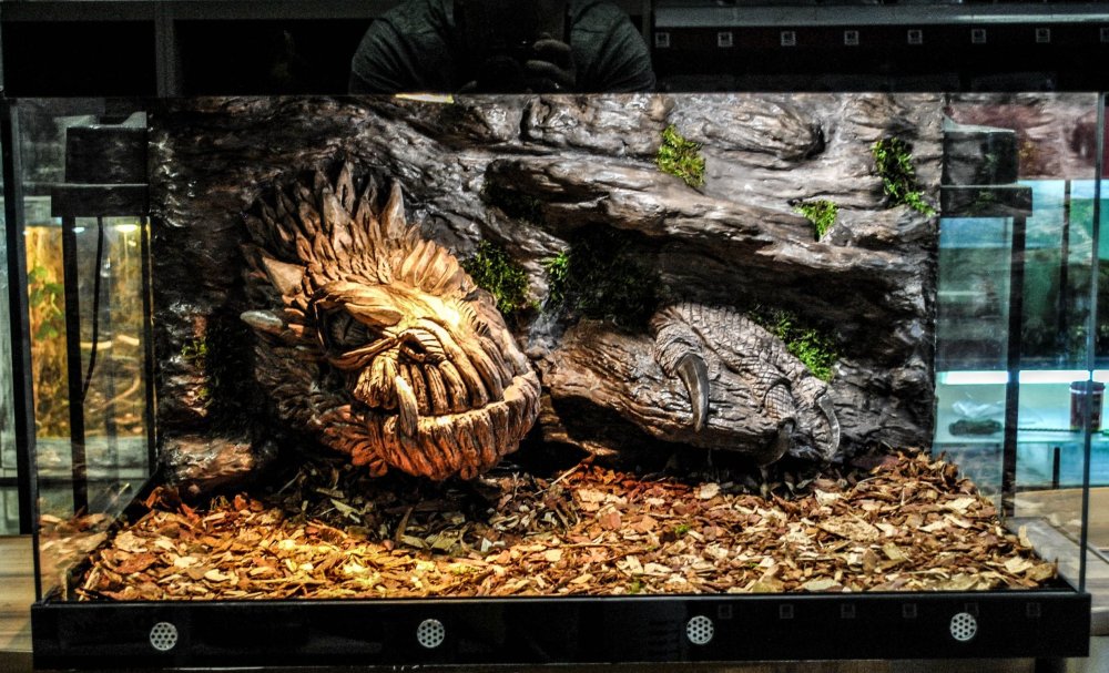 Террариум Zoo_piton39