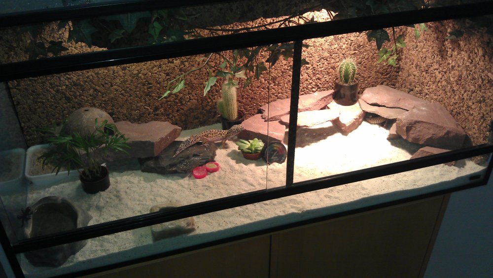 Террариум 30х30х45