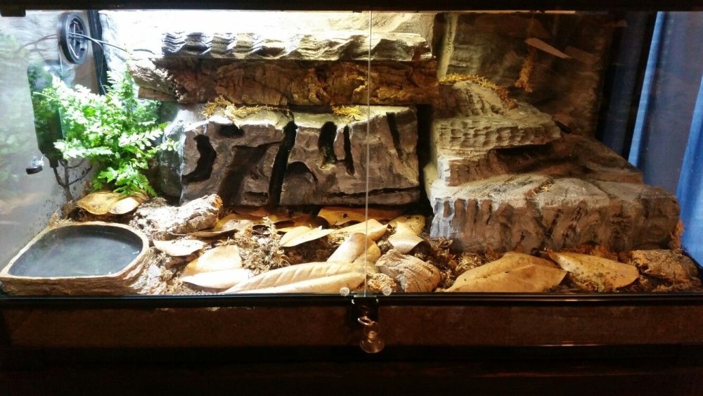 EXO Terra террариум 30x30x30