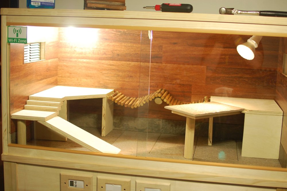 Как обработать коряги для агамы